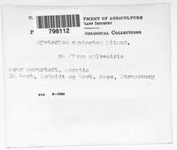 Image Associated With the Occurence